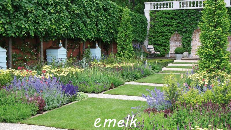  گیاهان مناسب برای محوطه سازی باغ