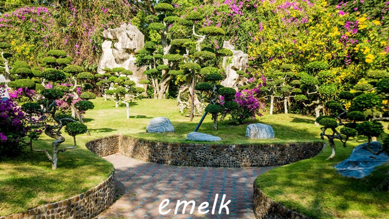 طراحی گیاهان زینتی در باغ ویلا